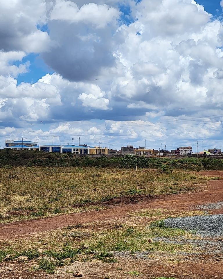 WhatsApp Image 2023-10-21 at 2.06.27 PM (1)