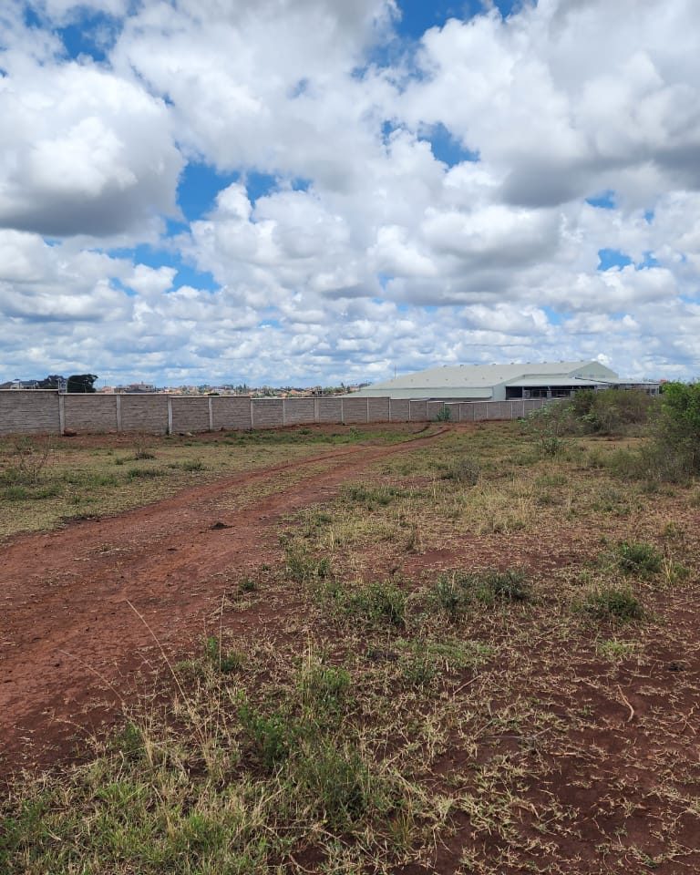 WhatsApp Image 2023-10-21 at 2.06.27 PM (2)